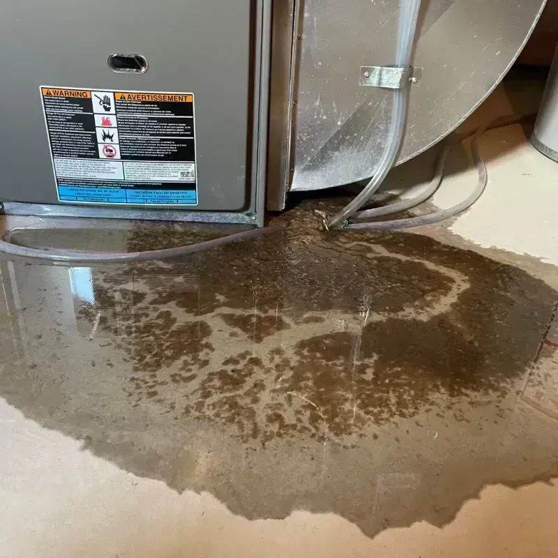 Appliance Leak Cleanup in Jennings, MO